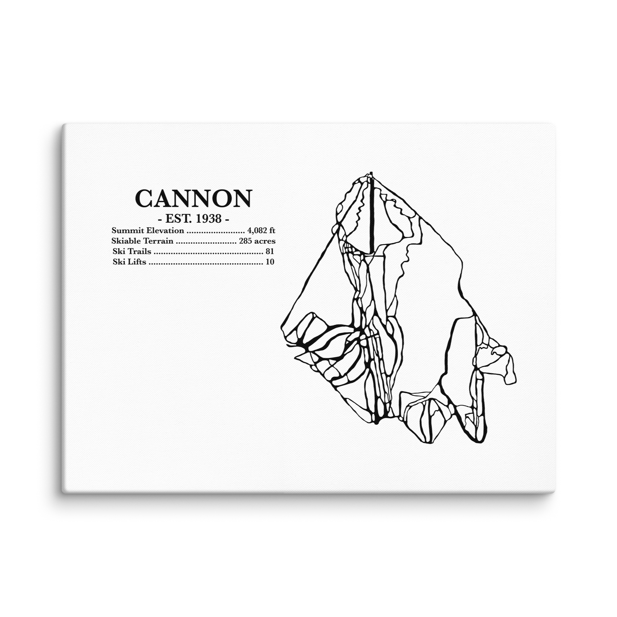 Cannon