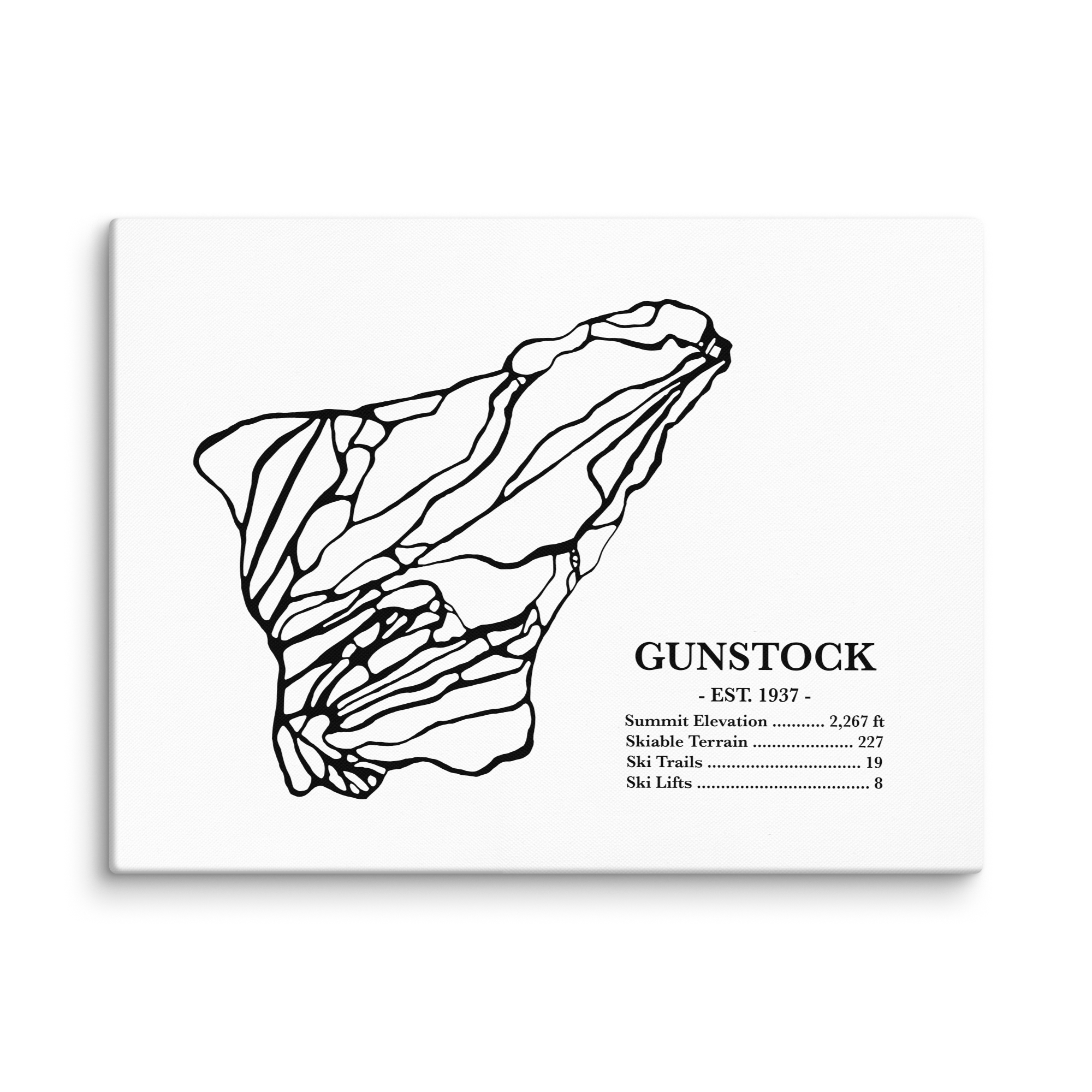 Gunstock