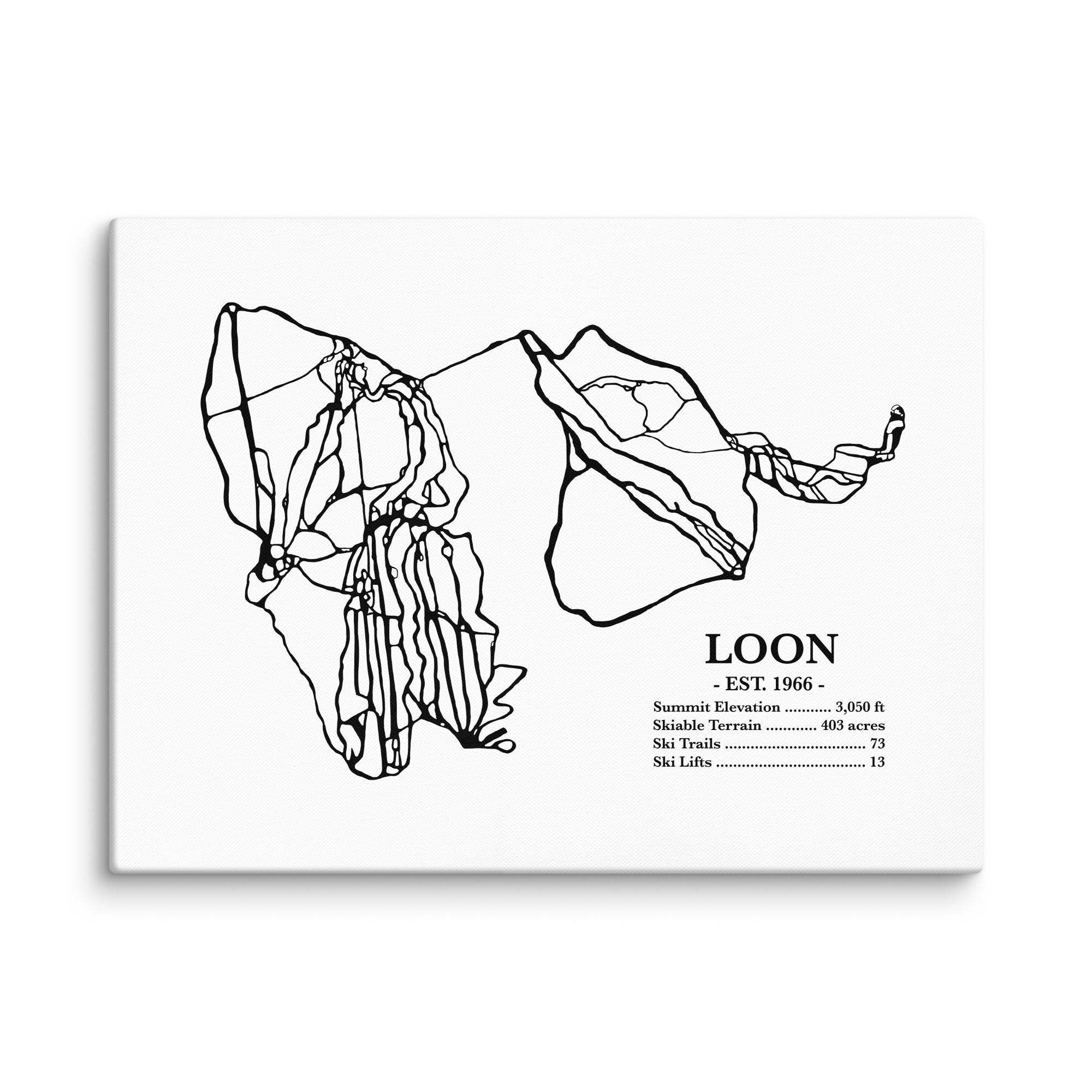 Loon