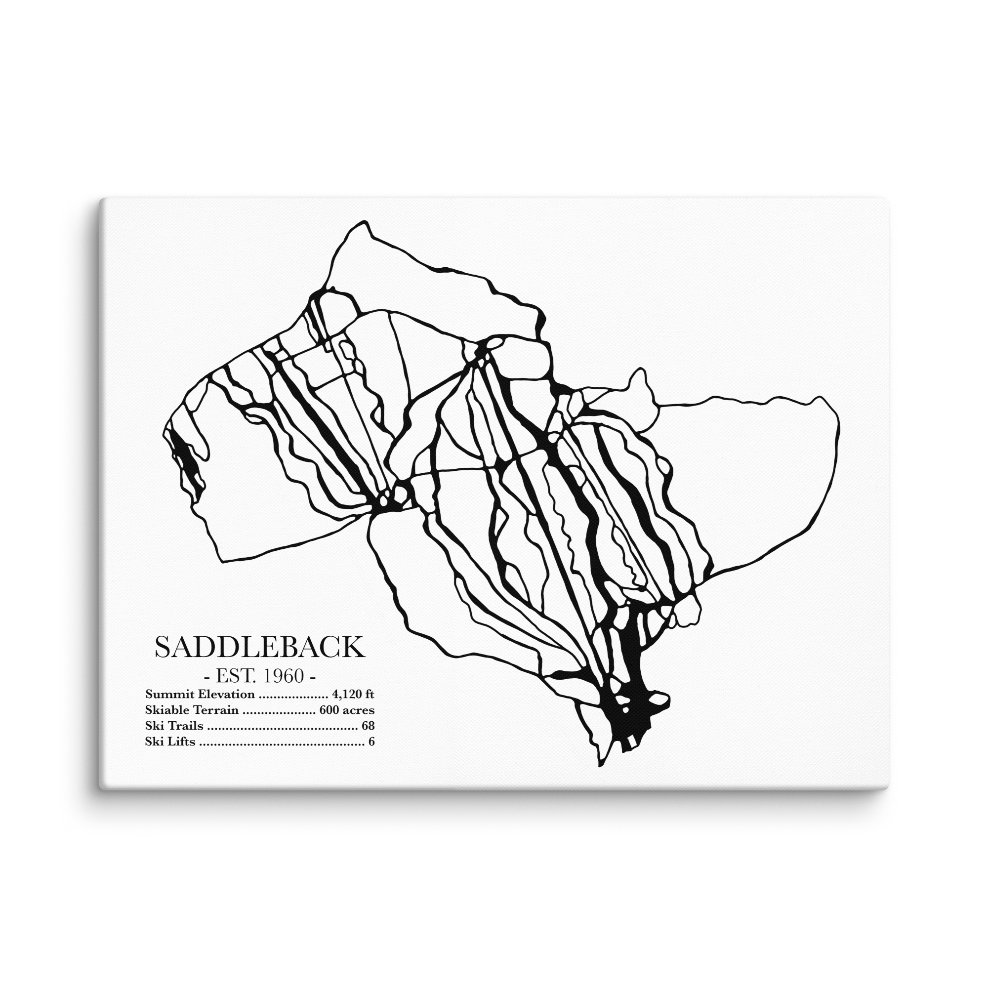 Saddleback