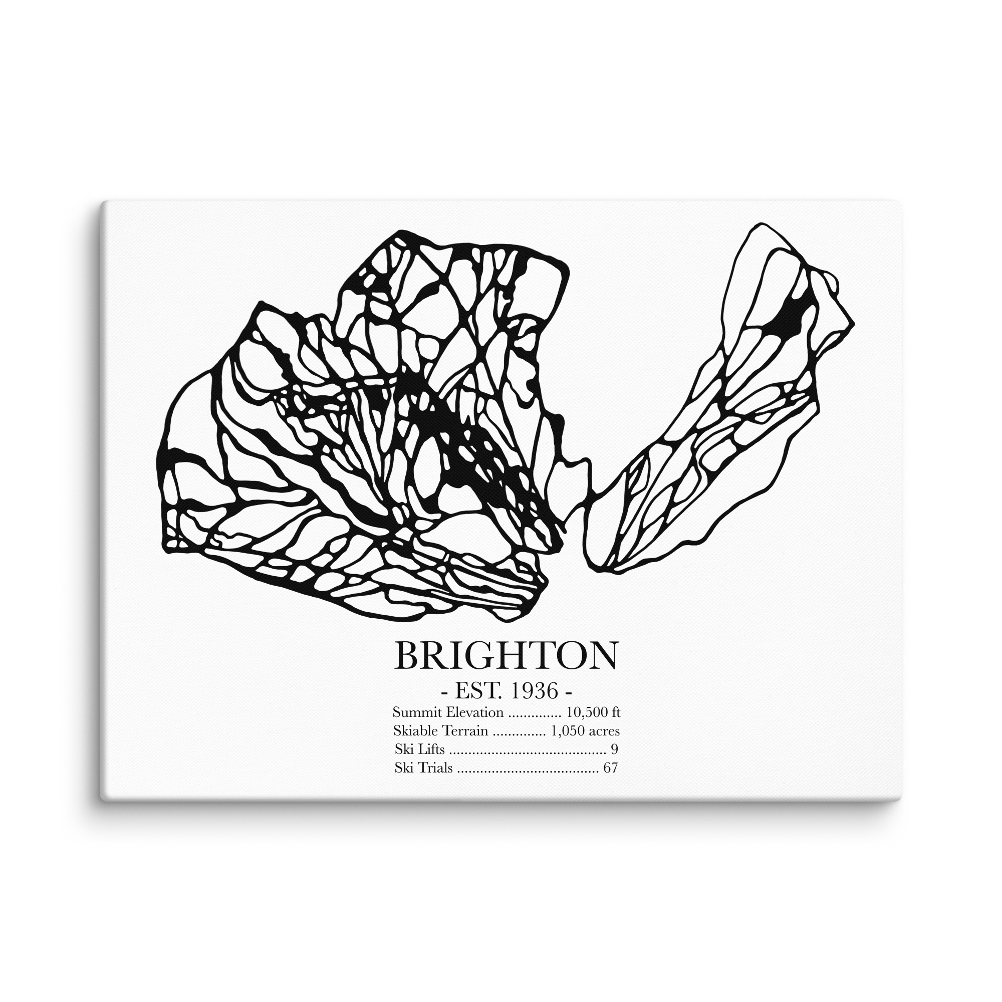 Brighton