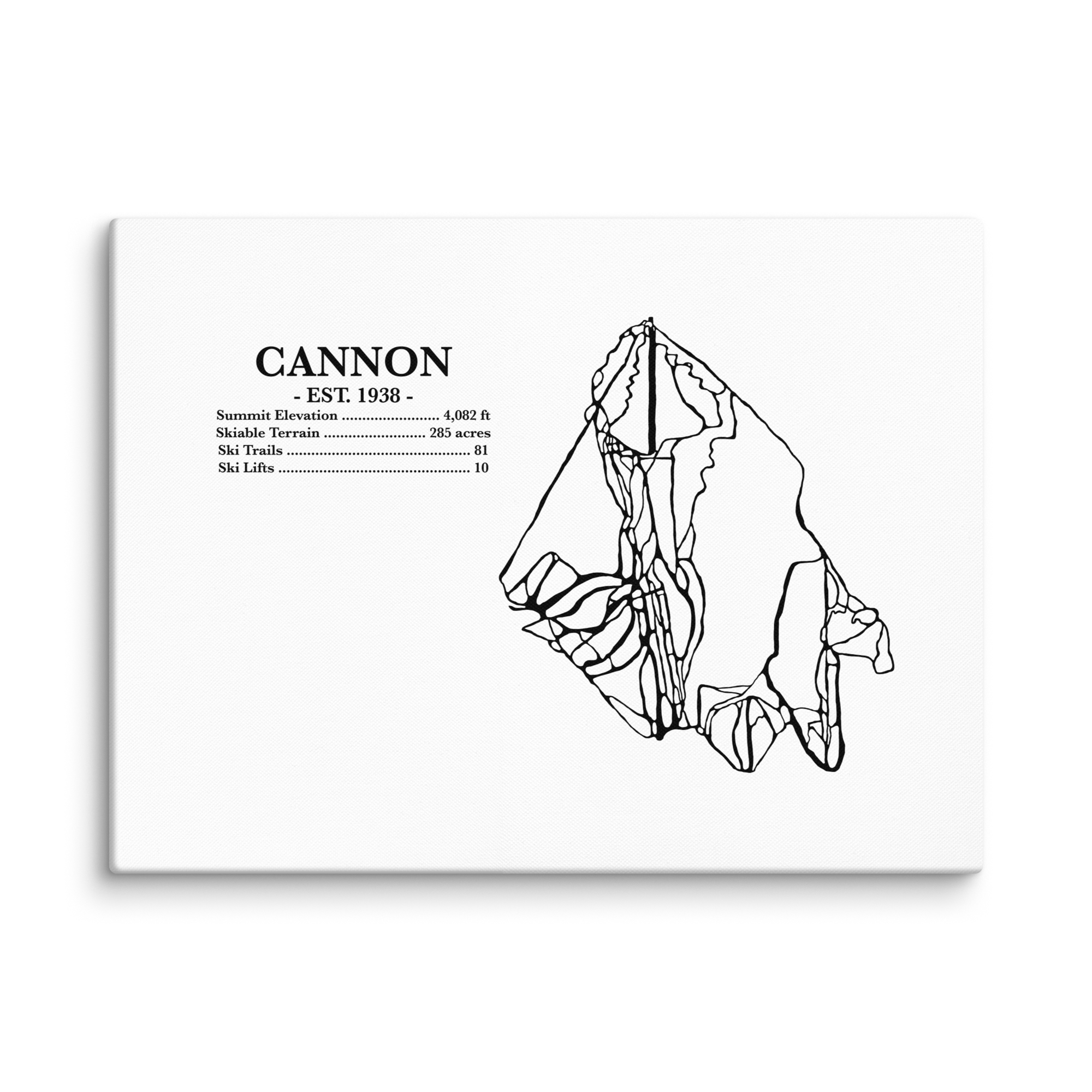 Cannon