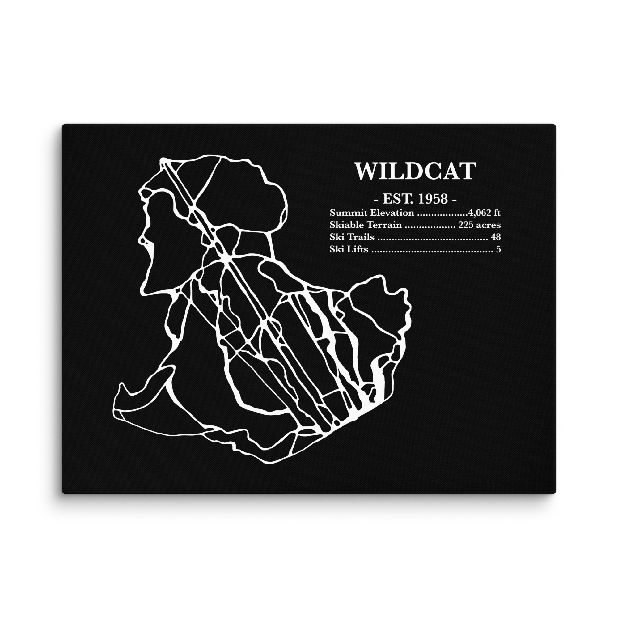 Wildcat