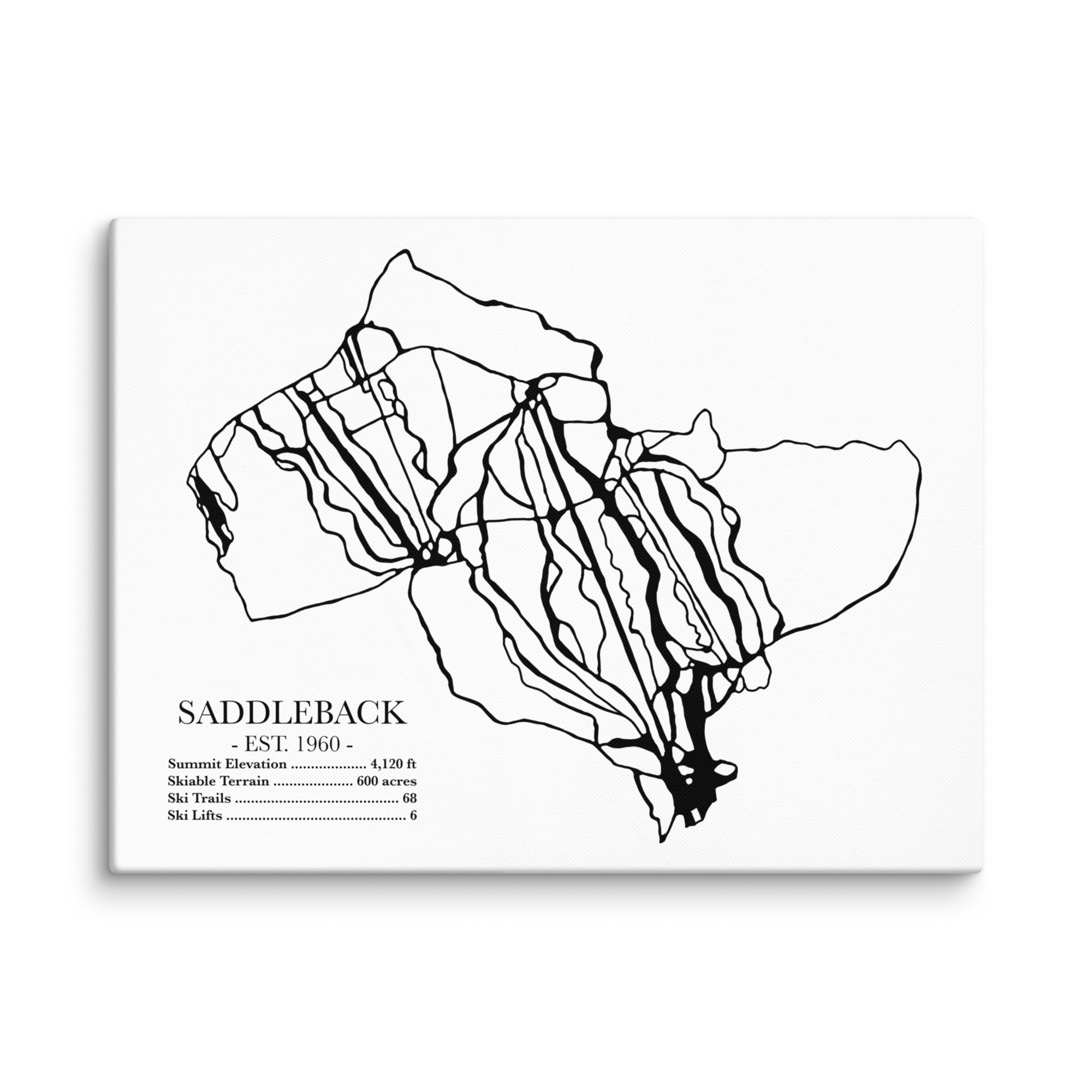 Saddleback