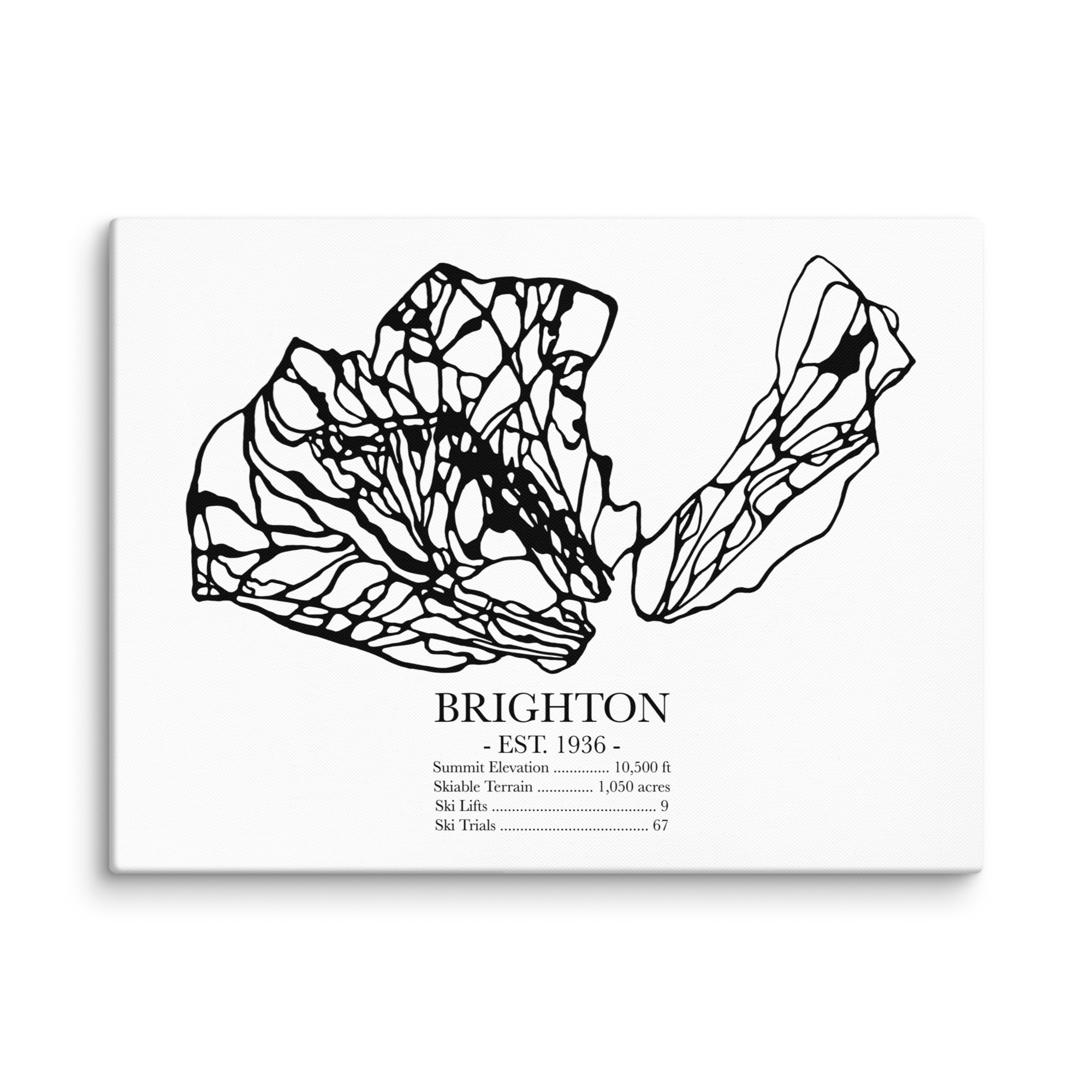 Brighton