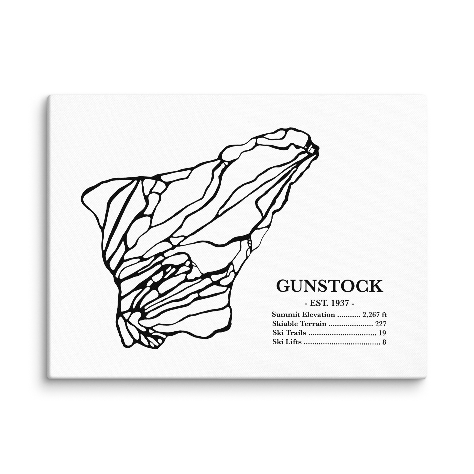 Gunstock
