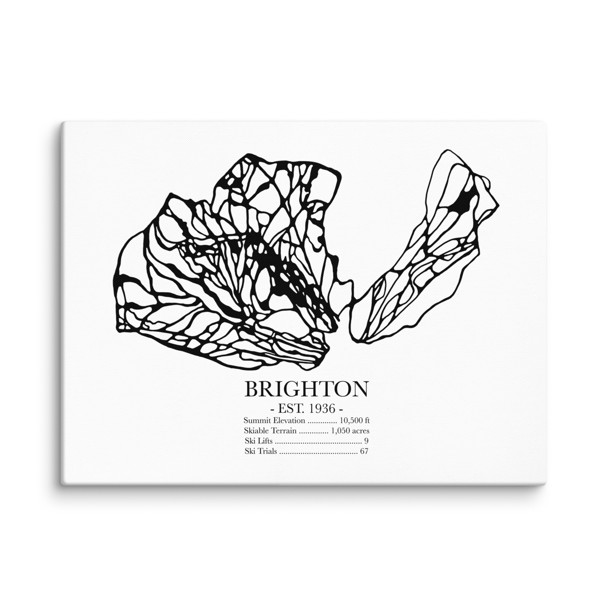 Brighton